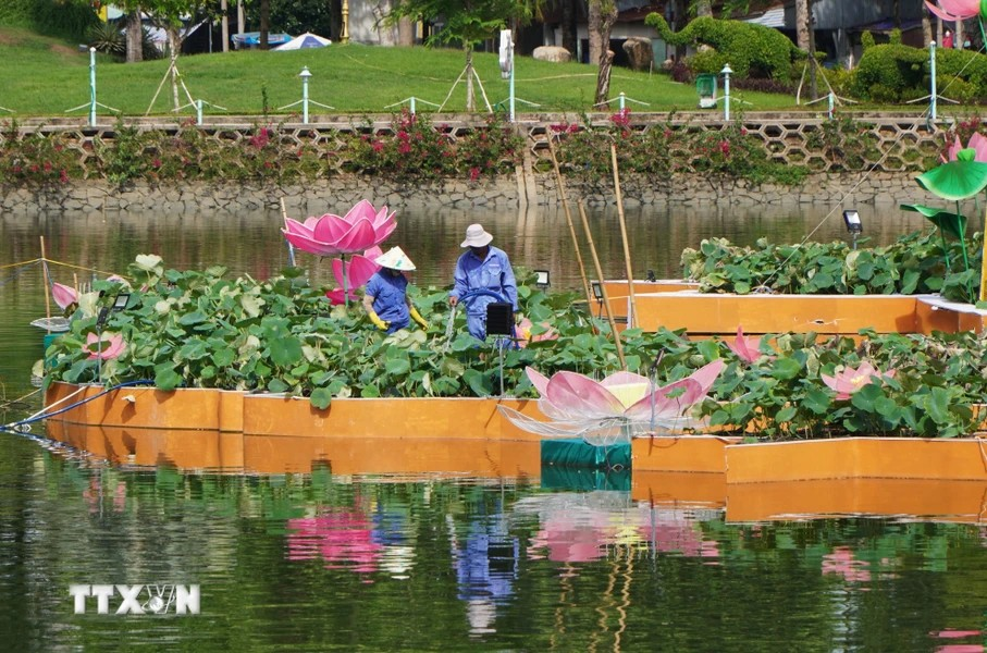 Des ouvriers s'occupent des pots de lotus utilisés pour créer la carte du Vietnam à la surface du lac de Confucius, dans le parc du Temple de la Littérature, ville de Cao Lanh.