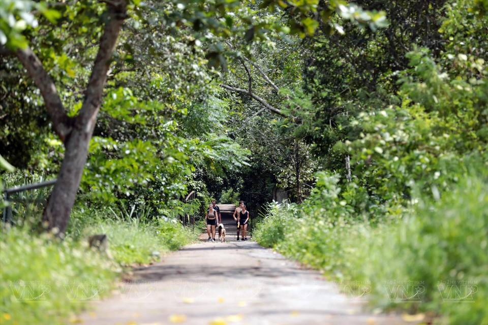 De petits sentiers partant de la route côtière permettent aux visiteurs de se promener à travers les forêts ombragées.