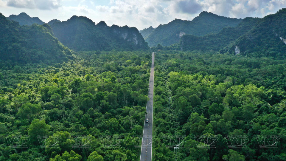 Vue d’en haut, la route ressemble à un fil gris se faufilant à travers la végétation verte sans fin.