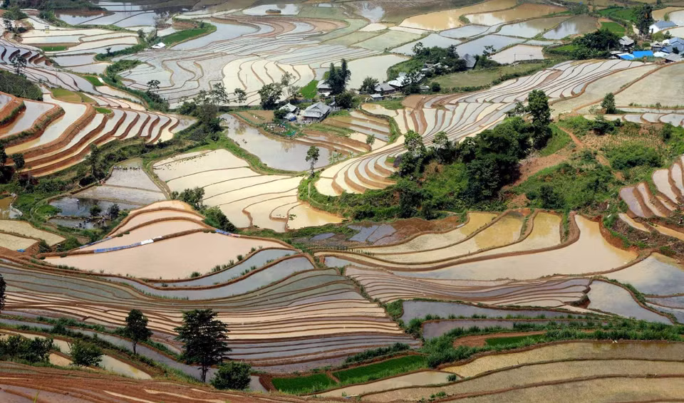 Ce sont les hommes qui s’occupent de creuser les canaux d’irrigation et de veiller à ce que leurs champs soient bien irrigués. À cette période, les rizières en terrasses à Lai Chau se transforment en miroirs gigantesques reflétant de magnifiques couleurs. Photo : Quy Trung/VNA