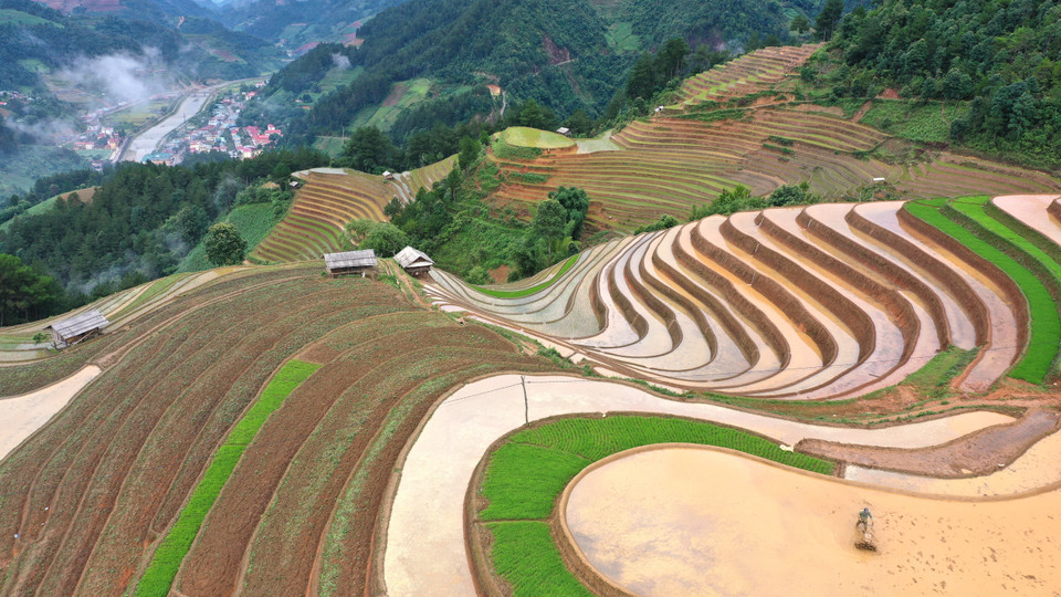 Entre début mai et début juin, Mu Cang Chai reçoit ses premières averses d’été. Les Môngs commencent à diriger l’eau des montagnes vers les champs pour préparer la nouvelle saison rizicole. L’eau s'infiltre entre les parcelles, créant un paysage impressionnant. Photo : VNA