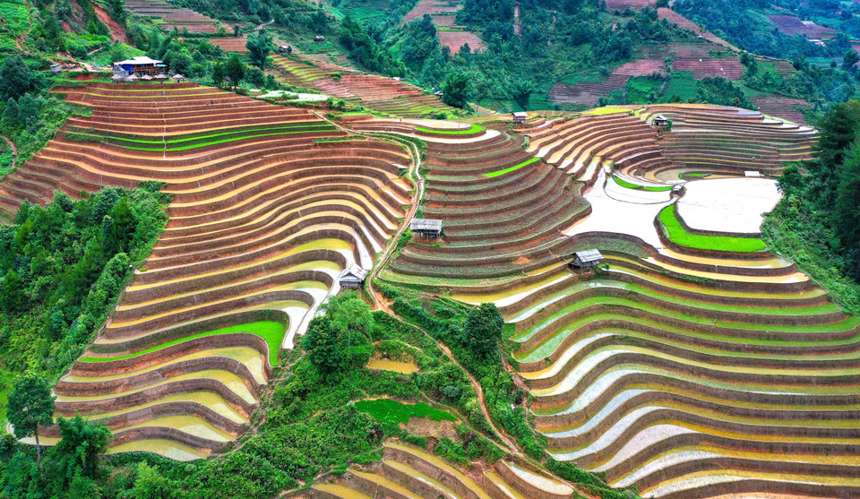 Les vastes champs en terrasses à Mu Cang Chai ont été créés par l’ethnie Mong. Photo : VNA