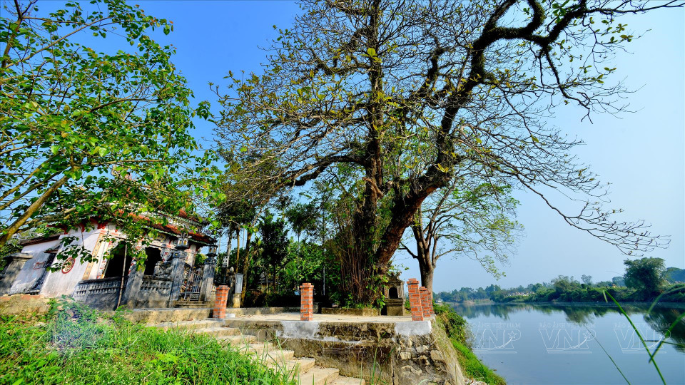 L'ancien village de Phuoc Tich s'étale dans une douceur poétique au bord de la rivière O Lau, commune de Phong Hoa, district de Phong Dien.