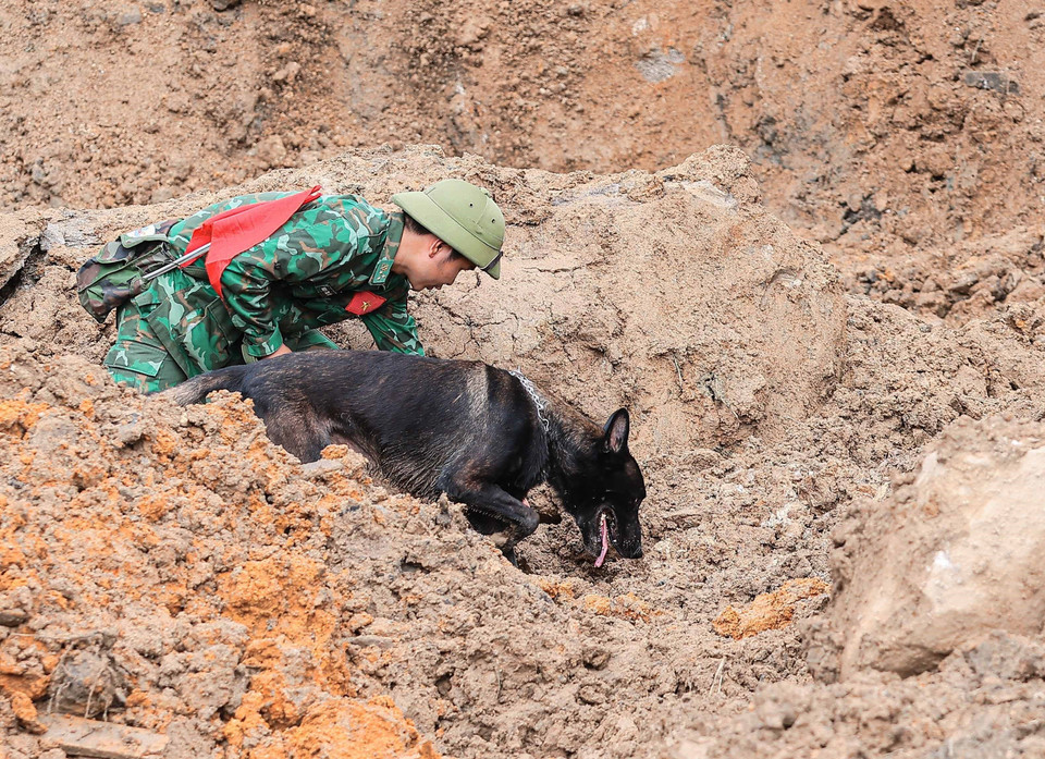 L'armée mobilise des chiens de détection pour rechercher les victimes ensevelies dans le hameau de Lang Nu, commune de Phuc Khanh, district de Bao Yen.Photo: VNA
