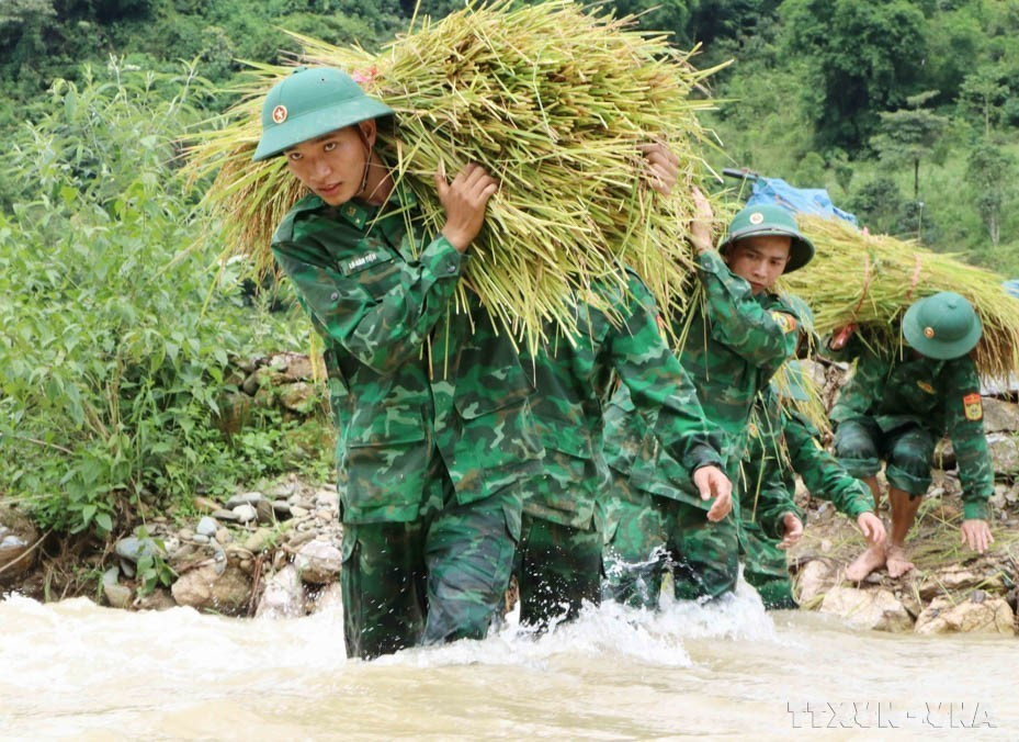 Des soldats du commandement des garde-frontières de la province de Lai Chau aident les habitants à récolter le riz. Photo : Nguyen Oanh-VNA