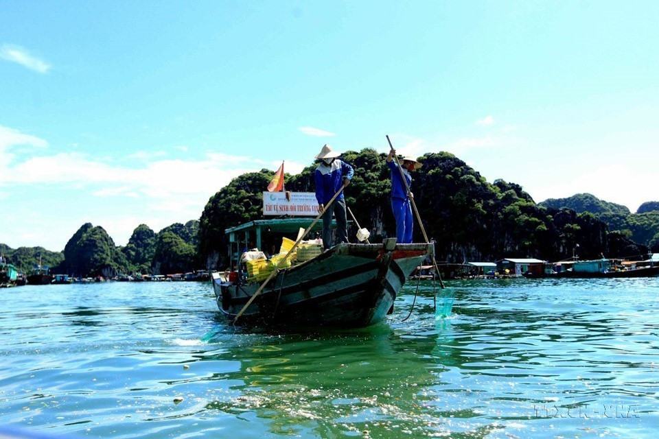 Des employés du Comité de gestion de la baie de Cat Ba ramassent des déchets flottant à la surface de la baie. Photo : VNA
