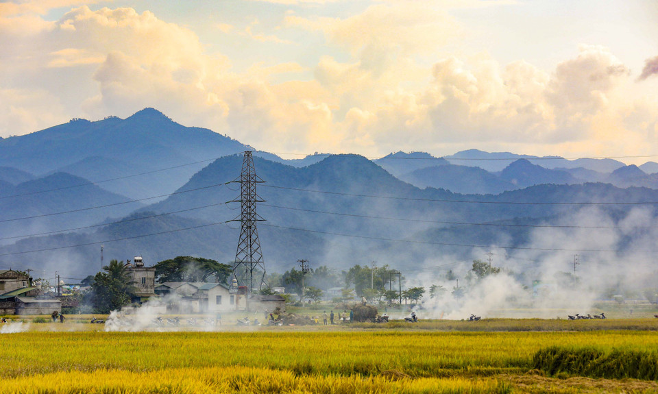Un paysage paisible règne sur le champ de Muong Thanh. Photo: VNA