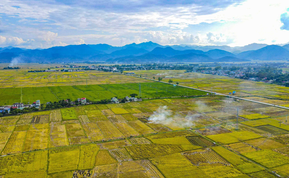 Les rizières de Muong Thanh vues d'en haut. Photo: VNA