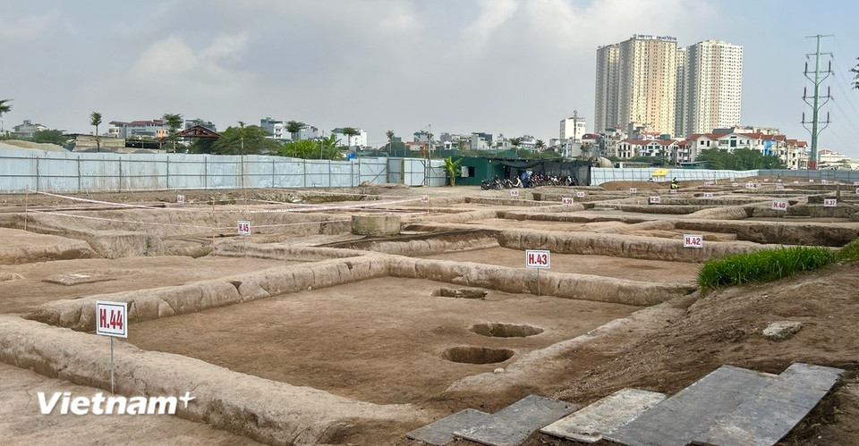 L'excavation à l'ouest du site de Vuon Chuoi a été réalisée dans 60 trous d'excavation, chacun d'une superficie de 100 m².