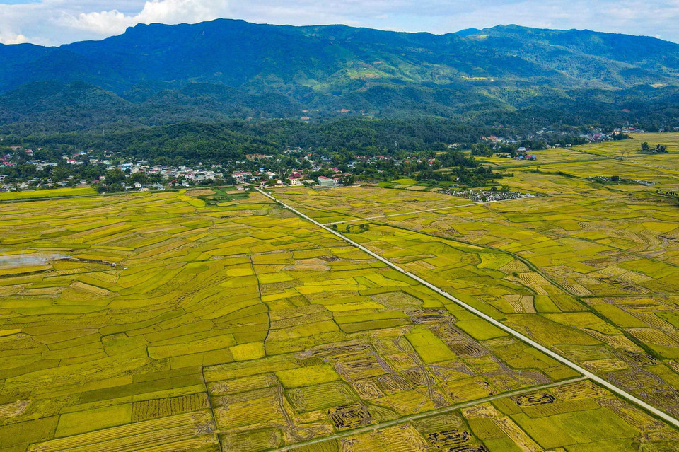 Le champ de Muong Thanh se trouve dans la commune de Thanh An, district de Dien Bien, province éponyme. Photo: VNA