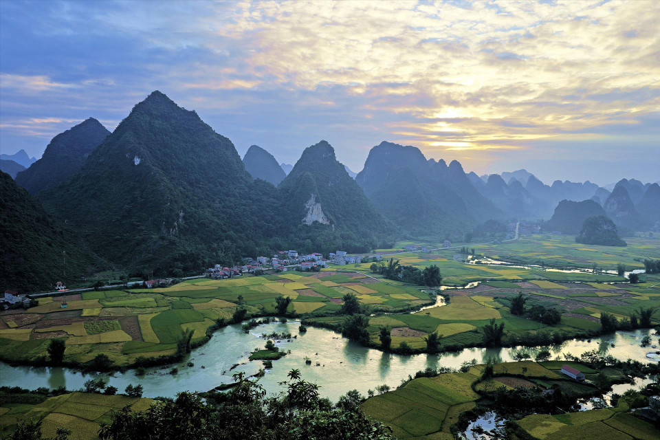 Les rizières prêtes à être fauchées de la commune de Phong Nam, sublimées par le soleil du petit matin, attirent de nombreux touristes à Cao Bang. Photo : Vietnam Illustré
