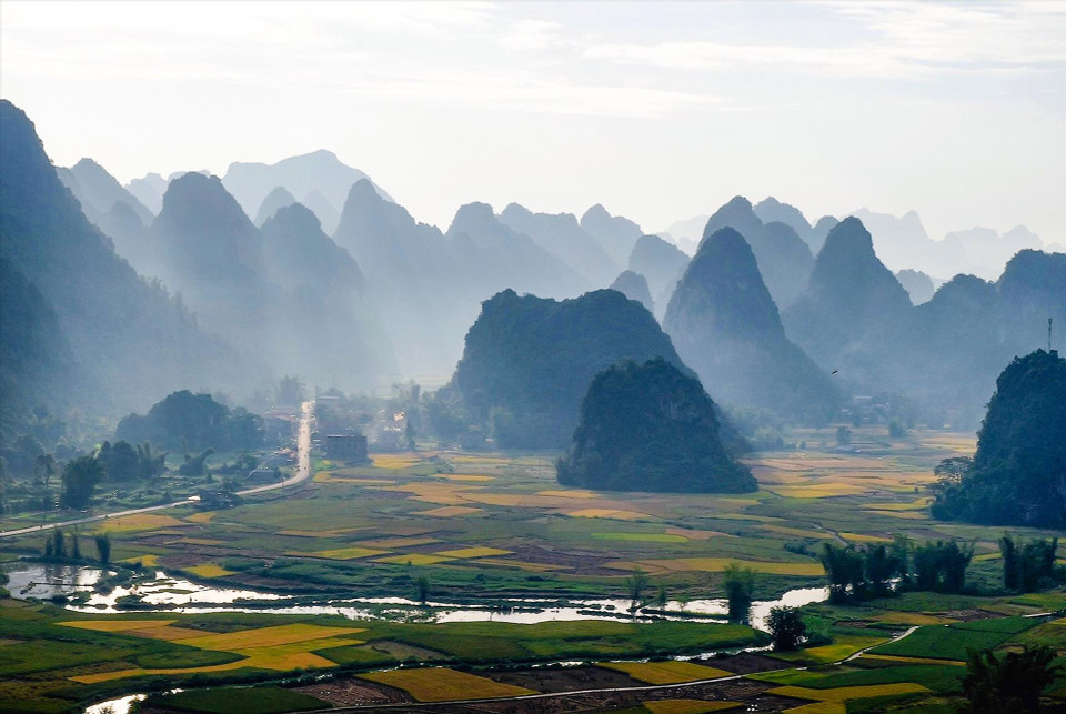 Des rizières dorées s'étendent sous les montagnes calcaires brumeuses du petit matin dans la commune de Ngoc Con, district de Trung Khanh, province septentrionale de Cao Bang. Photo : Vietnam Illustré