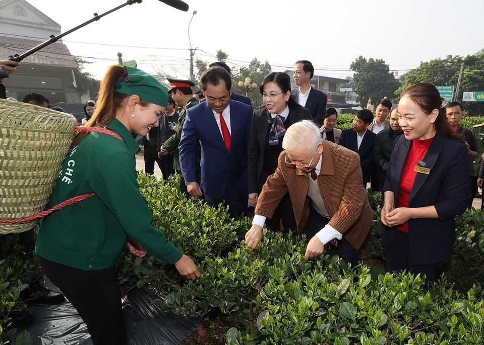 Le secrétaire général du PCV Nguyen Phu Trong visite le jardin de thé de la coopérative Hao Dat, dans la ville de Thai Nguyen (10 janvier 2023). Photo: VNA