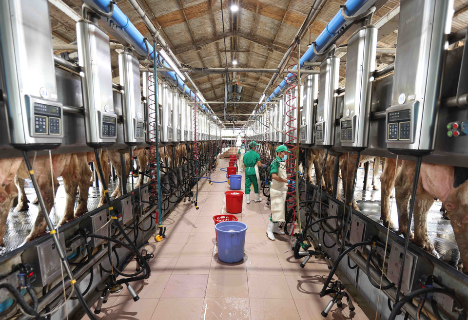 Binh Dinh vise un taux de croissance moyen de 8,5% au moins pour la période 2021-2030. Photo : VNA