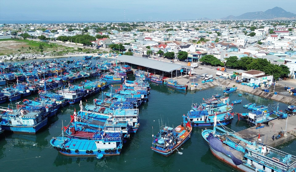 La province engage des moyens pour développer son port de pêche de My Tân dans la commune de Thanh Hai, district de Ninh Hai. Photo : VNA