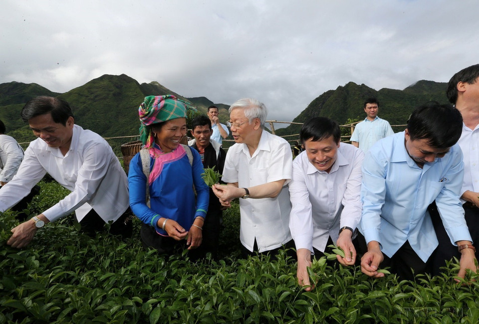 Le secrétaire général Nguyen Phu Trong visite le modèle de production intensive de thé VIET GAP dans le village Coc Phat, commune de Ban Bo, district de Tam Duong, province de Lai Chau, le 14 juillet 2016. Photo: VNA