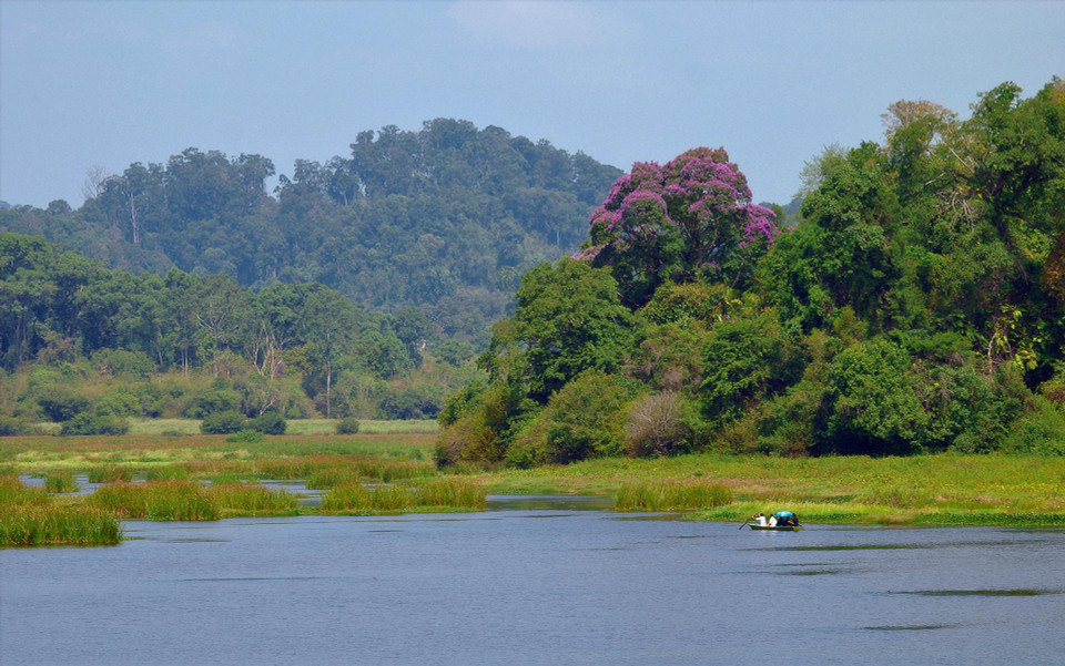Le parc national de Cat Tien constitue un modèle d'écosystème forestier tropical dans la région Sud-Est, avec un climat tempéré. Photo : VNA