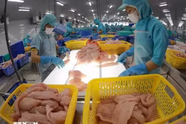 Transformation de pangasius pour l'exportation. Photo: VNA
