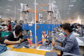 Des ouvrières travaillent dans une entreprise du district de Go Dau. Photo: baotayninh.vn