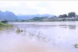 Montée du niveau d'eau de la rivière Lo traversant la ville de Tuyen Quang. Photo: VNA