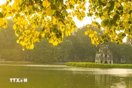 Lac de l'Epée restituée (Hoan Kiem), Hanoï, en automne. Photo: VNA