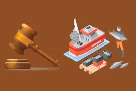 Lutte contre la pêche INN: application stricte des nouvelles réglementations 