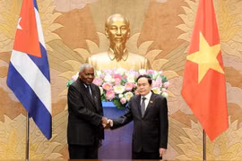 Promouvoir la coopération entre les organes législatifs du Vietnam et de Cuba
