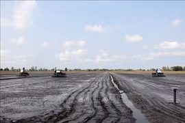 Culture à titre expérimental de 50 premiers hectares de production de riz de haute qualité à faibles émissions à Can Tho. Photo: VNA