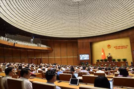 L'Assemblée nationale discute des questions socio-économiques et du budget de l'État dans l'après-midi du 29 mai. Photo: VNA