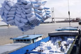 Les exportations de riz pourraient rapporter 5,3 milliards de dollars en 2024