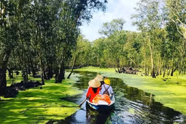 U Minh Thuong : une destination touristique écologique et culturelle 