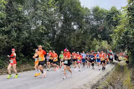 Près de 2.400 coureurs participent à Quang Binh Discovery Marathon 2024