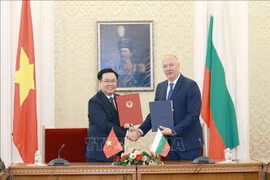 Promotion des relations d'amitié traditionnelles Vietnam-Bulgarie