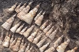 De nombreuses figurines de Bouddha découvertes dans la province de Xieng​ Khuang​ au Laos