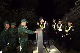 Patrouilles et inspections conjointes de nuit à la frontière Vietnam-Chine