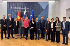 Le Vietnam chérit ses liens avec la Slovénie