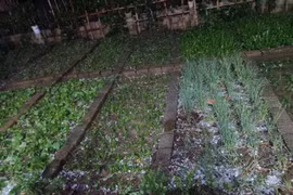 Des averses de grêle s'abattent sur Lao Cai