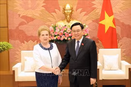 Le Vietnam et la Hongrie veulent dynamiser leur coopération économique