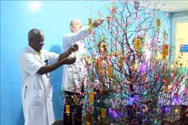 Le Têt traditionnel aux yeux d’étudiants et experts étrangers à Thai Nguyen et Quang Binh