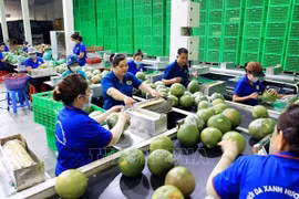 Des opportunités de croissance des exportations de fruits et légumes en 2024 s’ouvrent