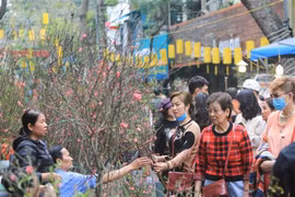 Hanoï : plus de 80 marchés aux fleurs à l’occasion du Têt 