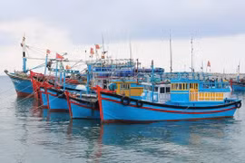 Thanh Hoa poursuit ses efforts contre la pêche INN
