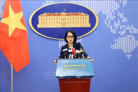 Le Vietnam condamne fermement les attaques violentes et inhumaines sur les routes maritimes internationales