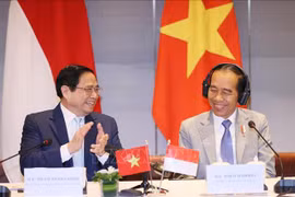 Le Dialogue d’entreprise de haut niveau Vietnam-Indonésie