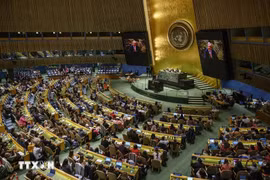 Le Vietnam et Cuba coopèrent étroitement dans d’importants processus de l’ONU