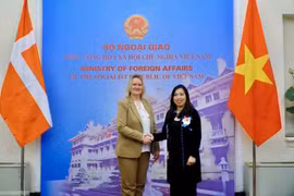 Consultation politique Vietnam-Danemark