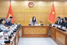 Mobilisation des ressources des Vietnamiens à l'étranger dans la nouvelle situation