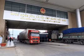 Exportation de plus de 225 tonnes de durian via la frontière de Lao Cai