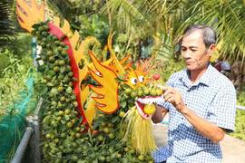Les kumquats taillés en forme de dragon prisés pour le Têt