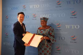 L'OMC reconnaît les contributions du Vietnam au système commercial multilatéral
